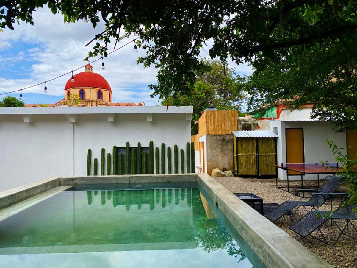 Ticuchi Hostal Oaxaca Ngoại thất bức ảnh