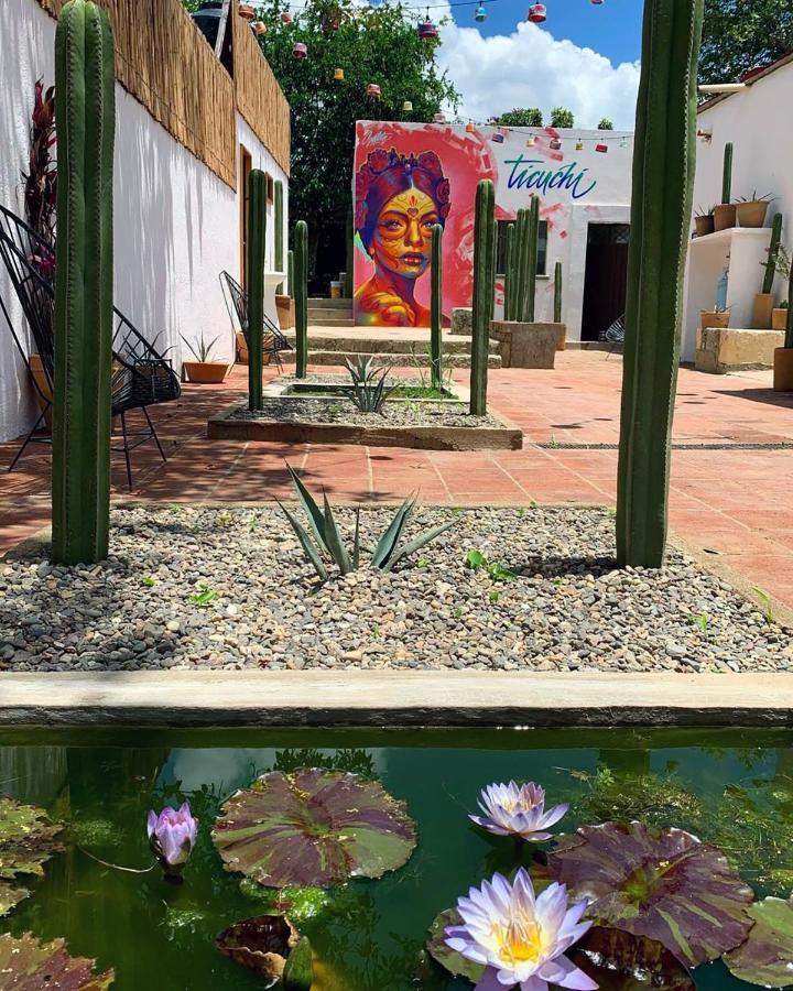 Ticuchi Hostal Oaxaca Ngoại thất bức ảnh