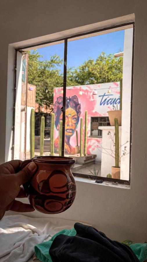 Ticuchi Hostal Oaxaca Ngoại thất bức ảnh